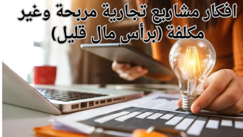 افكار مشاريع تجارية مربحة وغير مكلفة (برأس مال قليل)